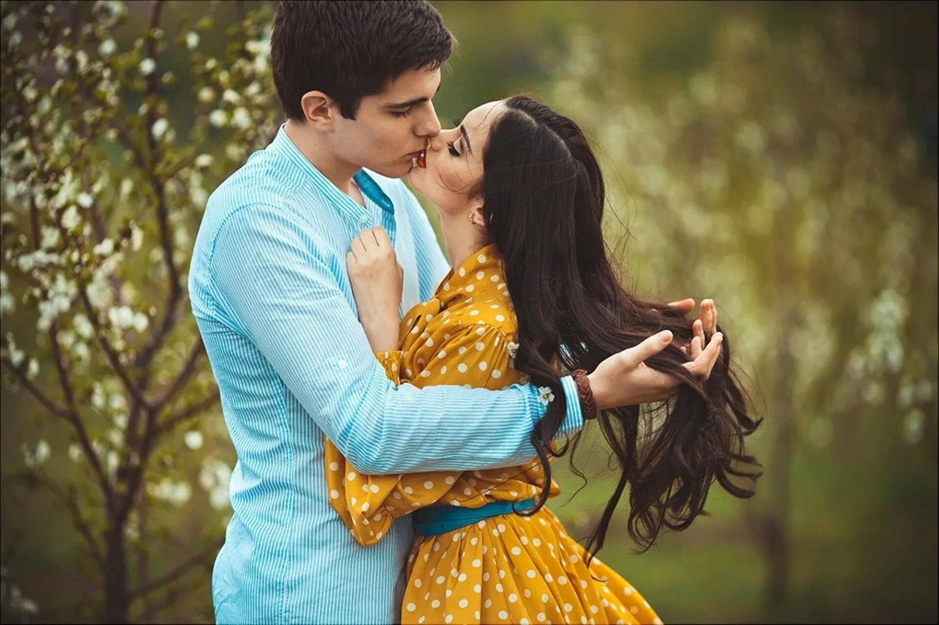 Гул пара