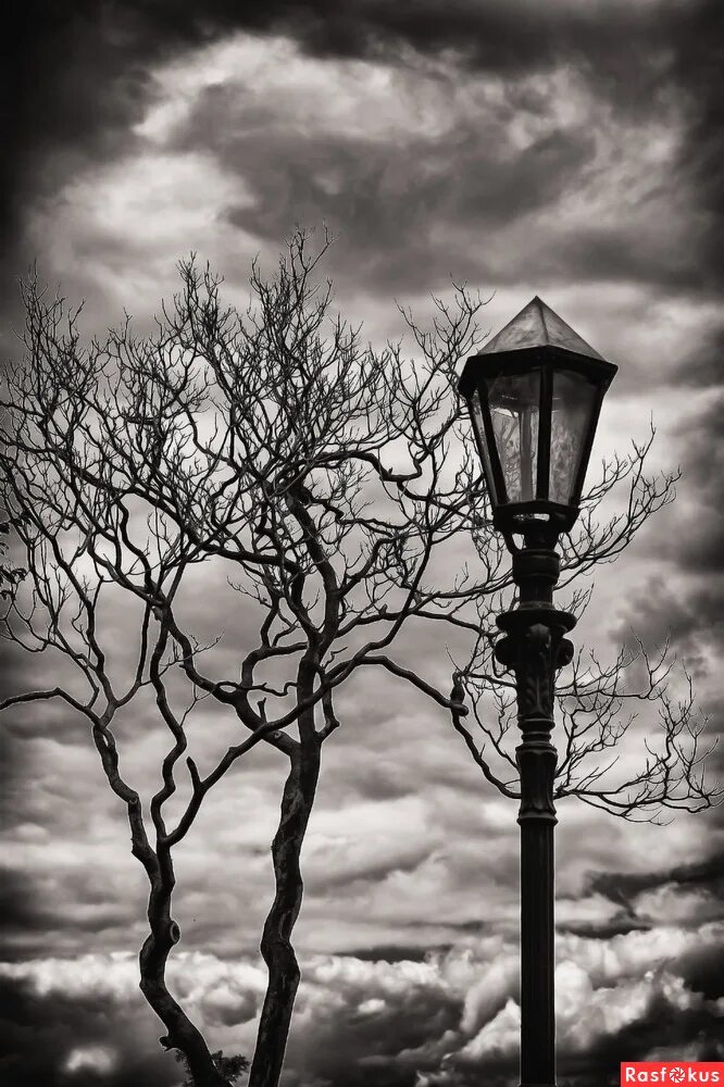 человек с фонарем в темноте. уличный фонарь в темноте. фонарь одиноко стоявший на земле. деревья фонари эстетика. одиночество души.