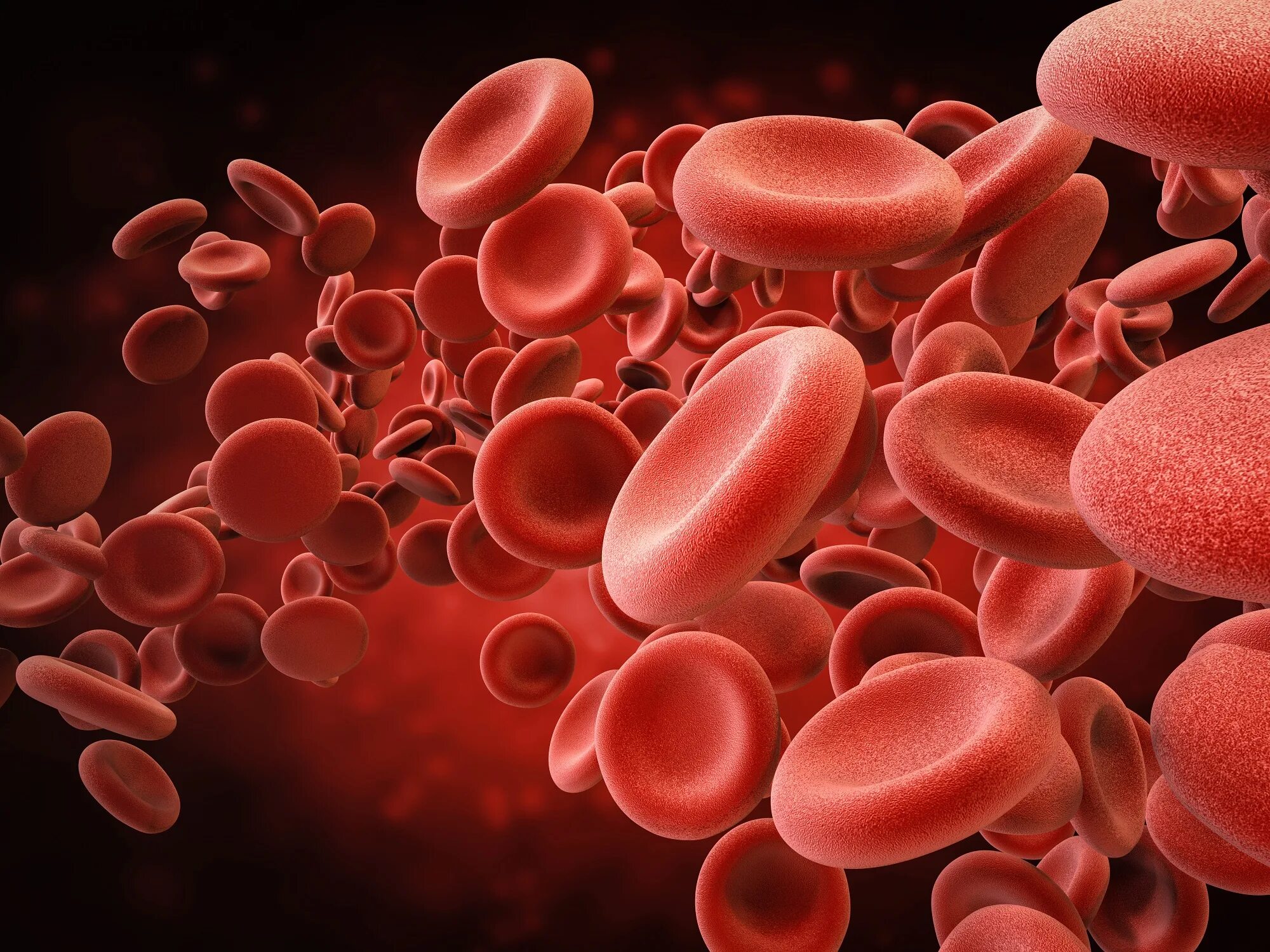 Выработка эритроцитов. Эритроциты. Клетки крови. Красные клетки крови. Молекула крови.