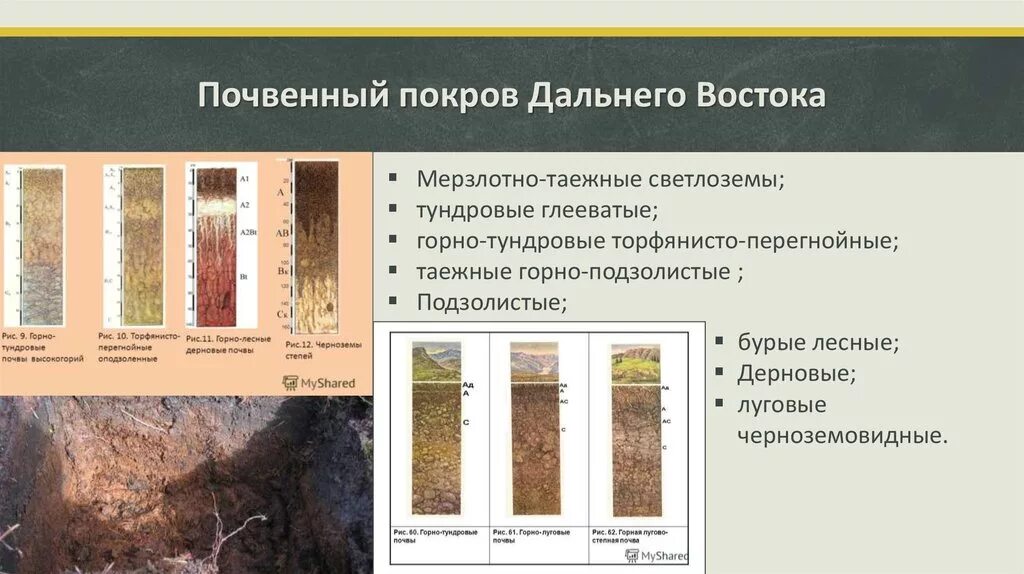 Порядок почв с севера на юг. Почвенный Покров дальнего Востока. Типы почв дальнего Востока. Почвы смешанных лесов дальнего Востока. Почвенные ресурсы дальнего Востока.