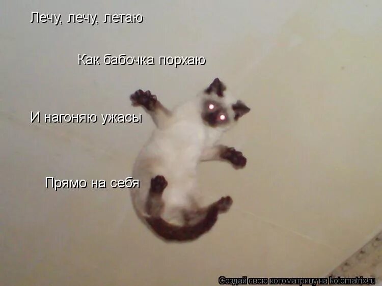 Мультик ахи страхи. Ночные ахи страхи мультфильм. Полечить полечу. Ночные ахи страхи мультфильм. Мы летаем кружимся нагоняем ужасы песня.