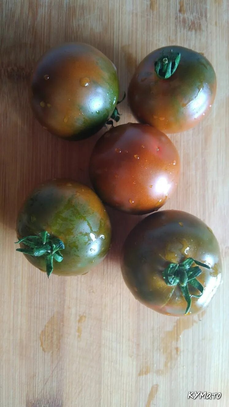 Сорт томатов кумато отзывы. Черри кумато. кумато черри сорт помидор. томат кумато семена. сорт томата кумато.