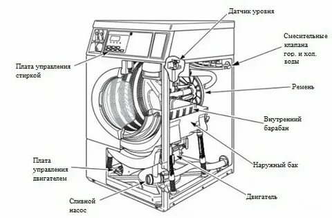 Как устроена ее