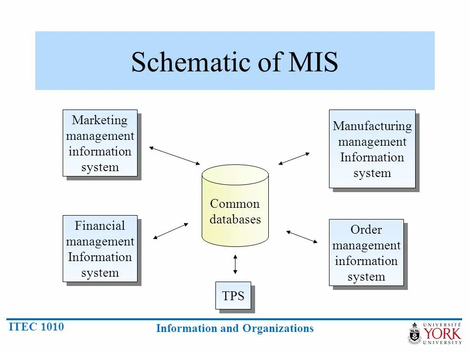 Management information system