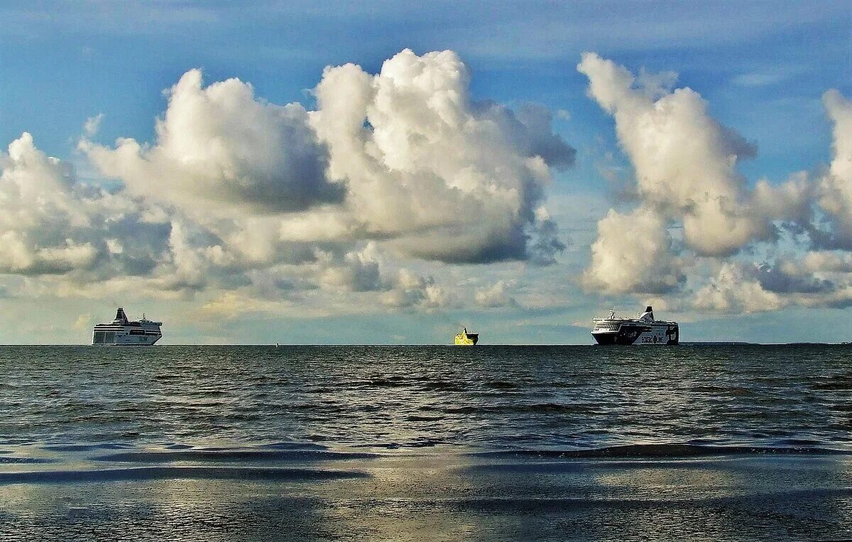 Таллинский залив. День Балтийского моря. День Балтийского моря — 22.03..