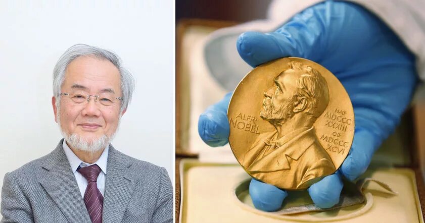 нобелевская премия японцу