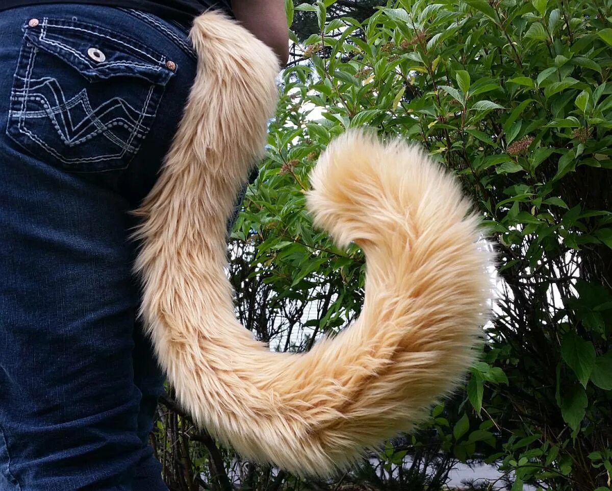 Хвостик для попы. Куда делся хвост. Хаост у человека нм копчике. Куда делся хвост. Куда делся хвост.