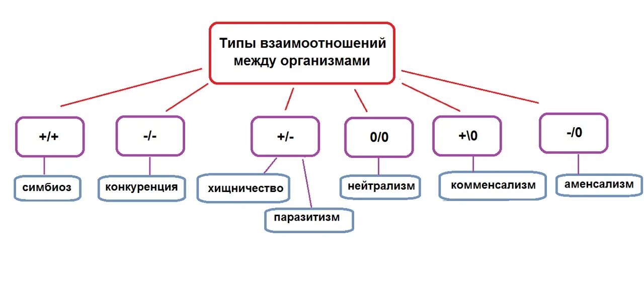 Отношения между 4 и 6. Типы взаимодействия между организмами схема. Типы взаимоотношений организмов схема. Типы взаимодействия живых организмов схема. Типы отношений между организмами.