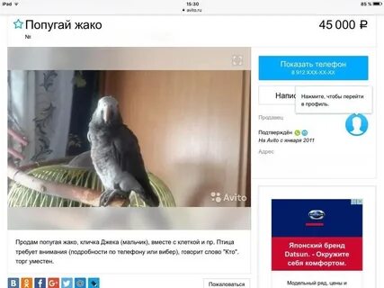 Объявления о продаже птиц попугаев на авито