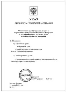 Указ судьи 2024