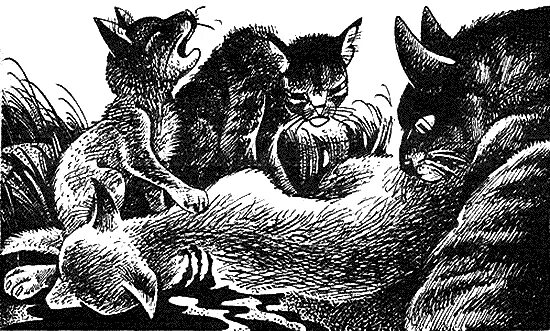 Коты воители пророчество синей. Коты воители пророчество синей звезды. коты воители иллюстрации насырова. коты воители битва леонид насыров. коты воители леонид насыров пророчество синей звезды.