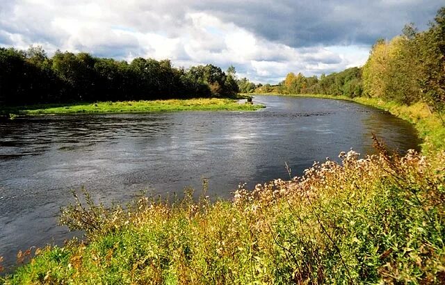 Река Мста Новгородская. Река Мста Боровичи рыбалка. Река Мста Новгородская и Тверская область. Исток реки Мста. Река мста новгородская область