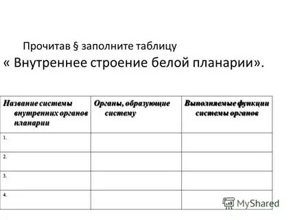 Сравнительная характеристика гидры и белой планарии таблица