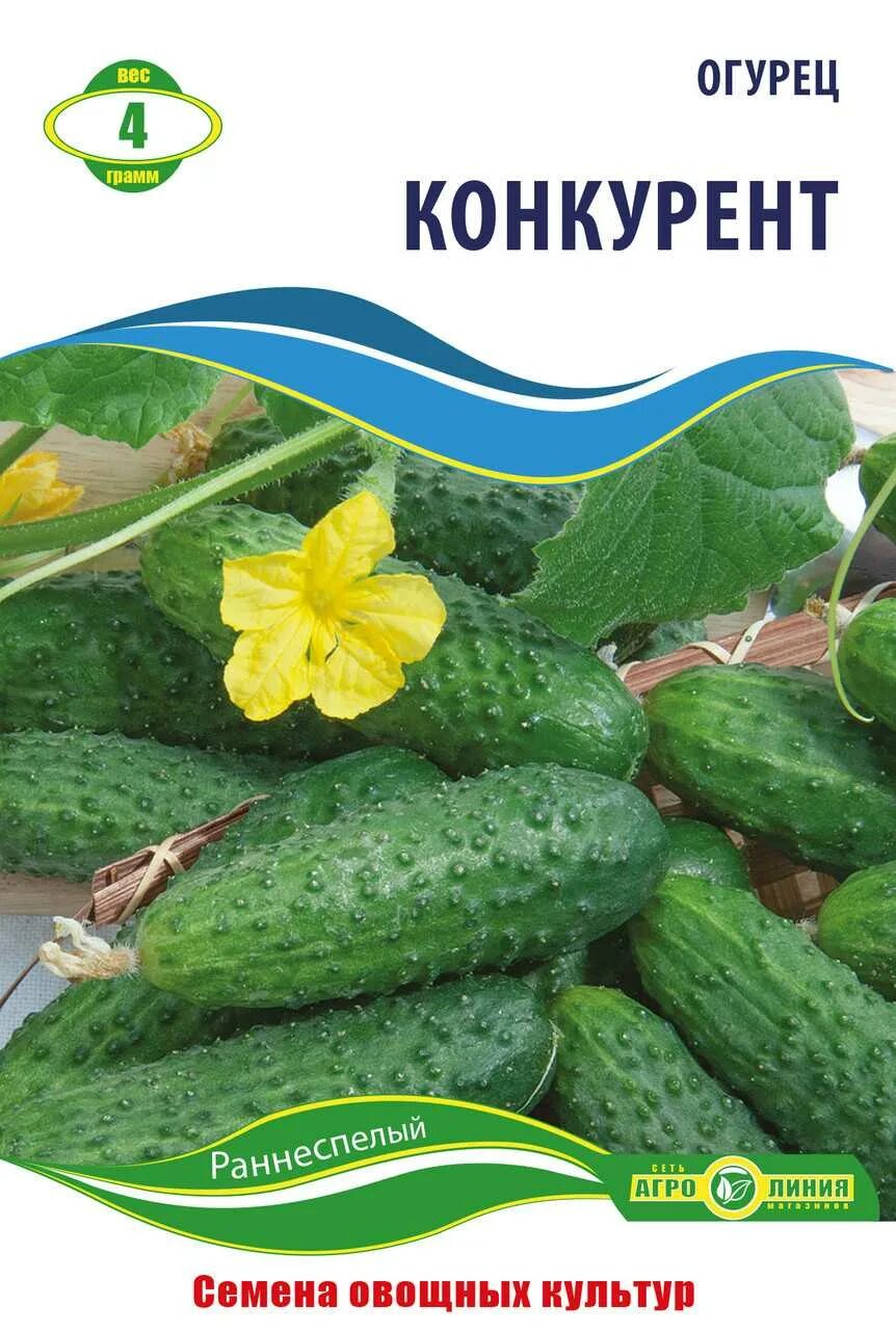 Огурцы сорт конкурент. Огурец конкурент 0,5г лидер аэлита. Семена гавриш удачные семена огурец конкурент 0,5 г. Конкурент ф1 огурец. Семена огурец конкурент 5гр.
