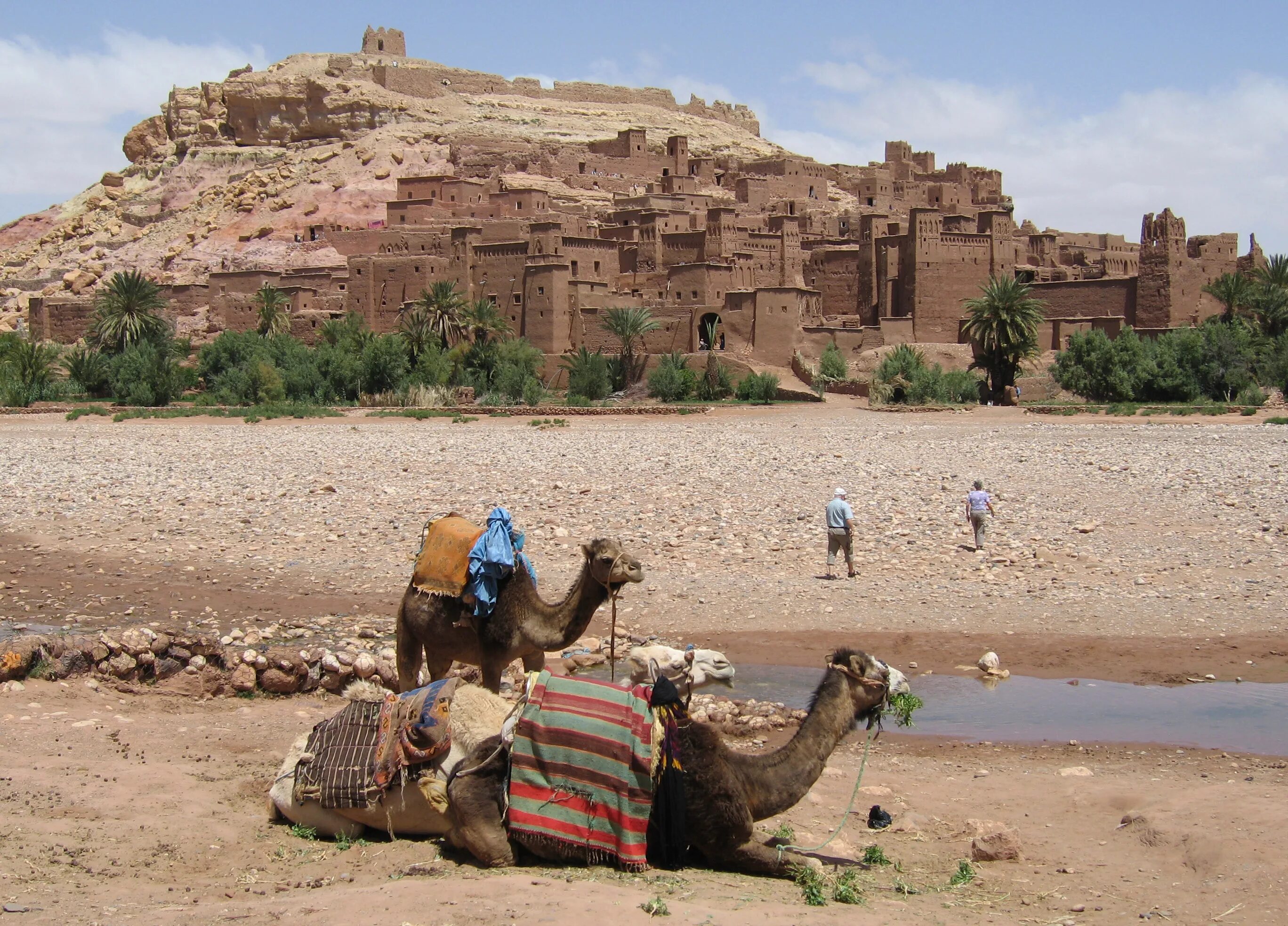 Марокко погода сейчас. Фес Марокко пустыня. Касба айт-Бен-Хадду. Марокко Верблюды. Климат Марокко Марокко.