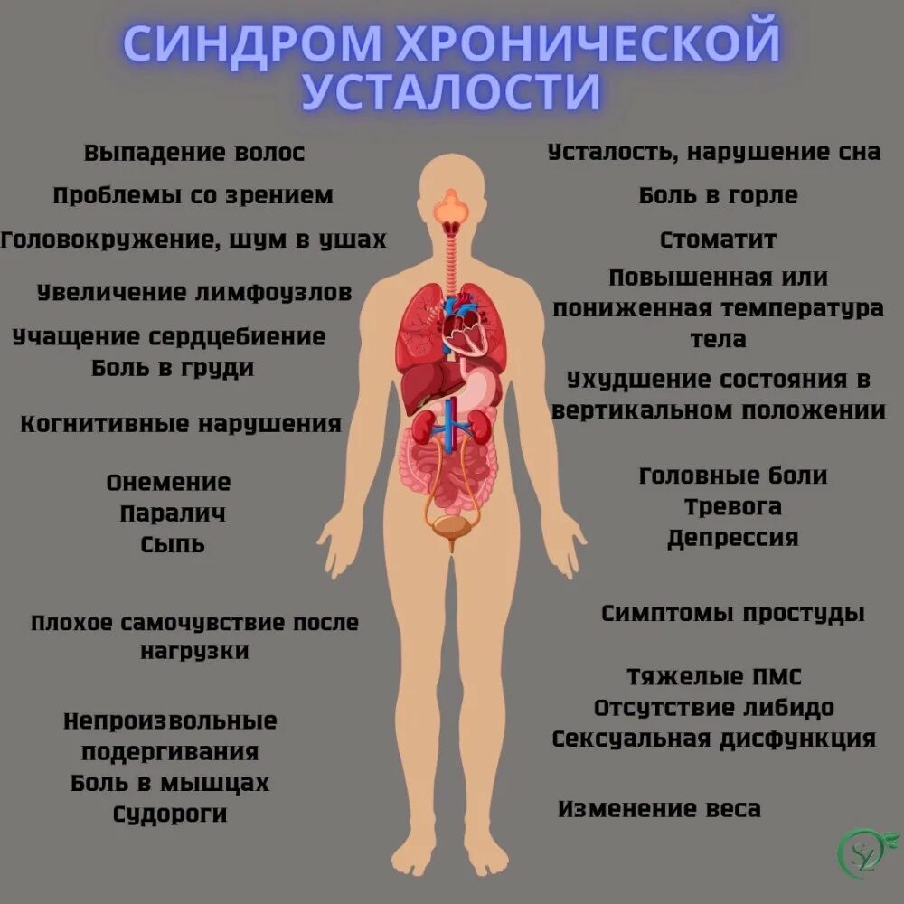 12 Мая день синдрома хронической усталости. Профилактика синдрома хронической усталости. СХУ симптомы. Хроническая усталость симптомы у женщин. Изменения 12 мая