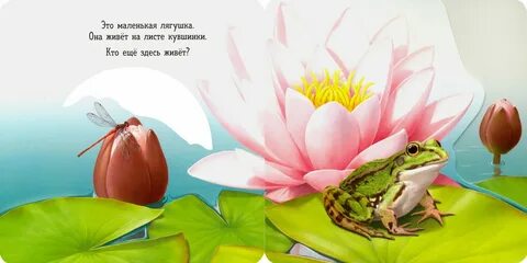 Лягушка требуй что тебе надо песня