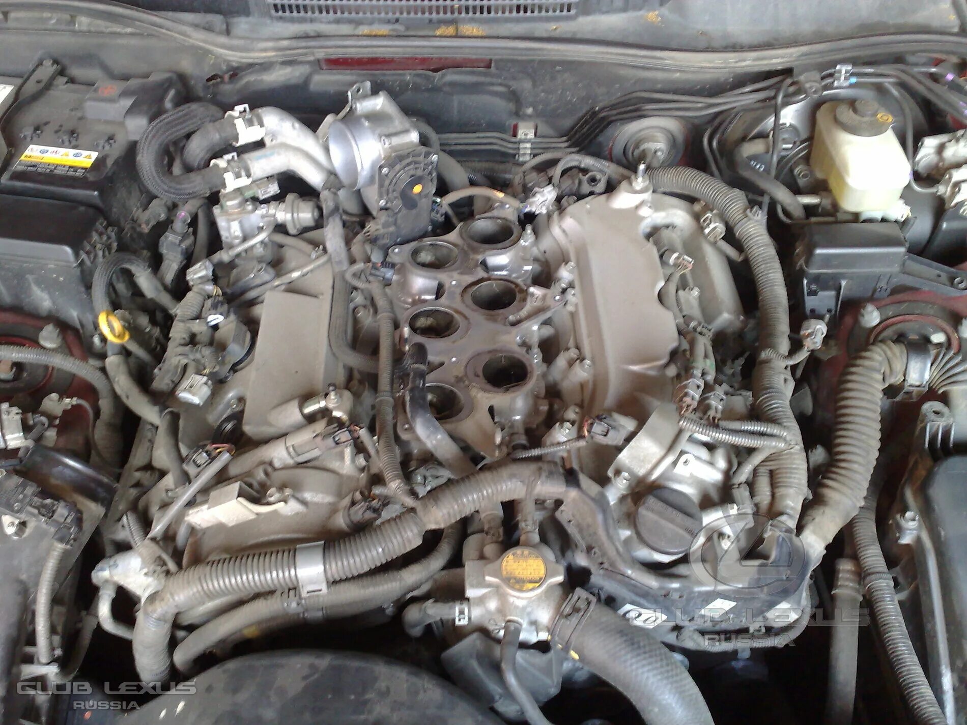 C1201 ошибка тойота. C1201 lexus. c1201 toyota camry. c1201 lexus is250. c1201 lexus rx350.