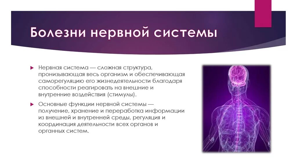 Заболевания нервной системы. Заюолнваниянервной системы. Основные заболевания нервной системы. Неинфекционные заболевания нервной системы.