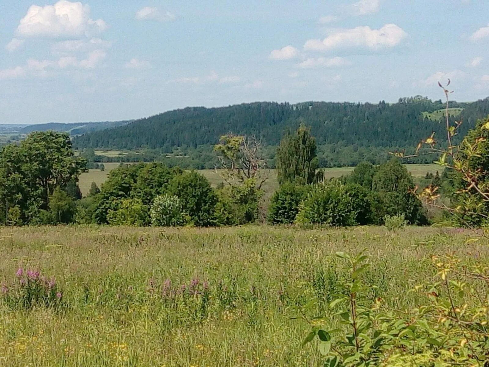 Погода плелое. Погода плелое. Нестино церковь. Нестино церковь. Село плелое кировская область.