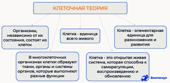 Биотехнология аспекты. Роль клеточной теории в становлении и развитии биотехнологии.