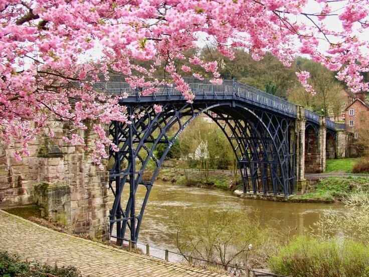 Spring scenes