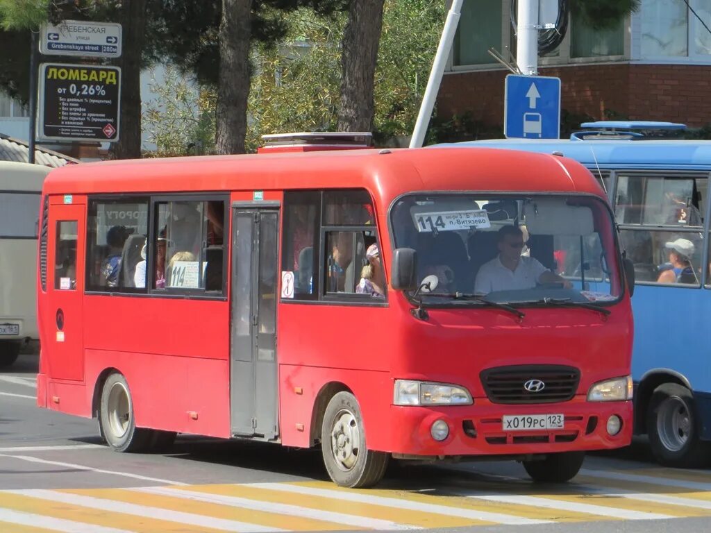 Проезд в маршрутке анапа. 114 автобус анапа. хендай каунти анапа 100. 114 маршрут анапа. общественный транспорт анапа.