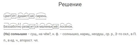 Русский язык 7 класс упражнение 282 ладыженская
