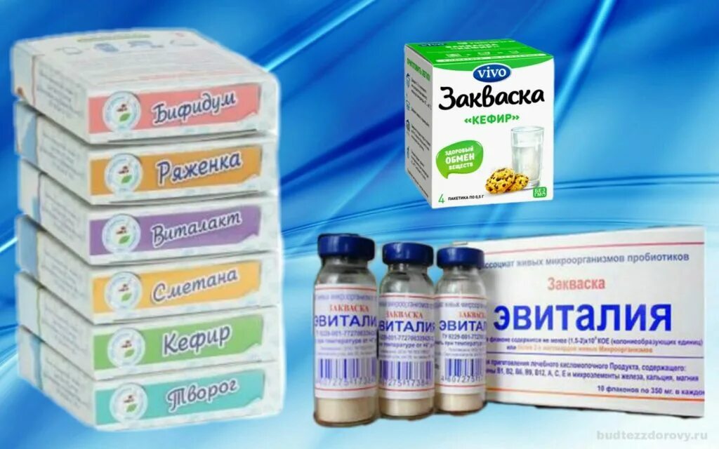 Закваска пропионовокислых бактерий. Закваска. Микроорганизмы в йогурте. Микроорганизмы заквасок. Закваска пропионикс.