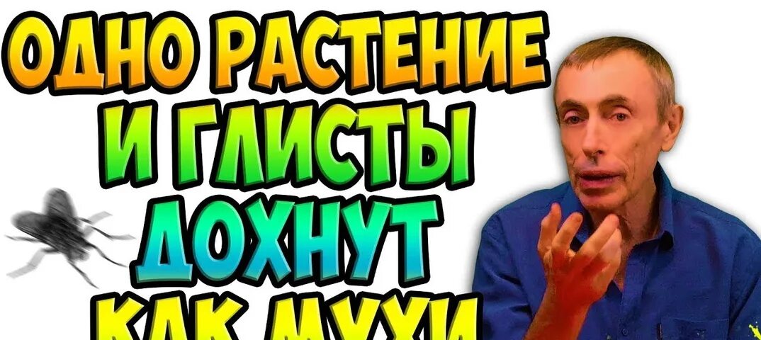 Гарантия здоровья очищение от паразитов и химии. Нем гарантия здоровья и. Гарантия здоровья очищение от паразитов и химии. Гарантия здоровья очищение от паразитов и химии. Гарантия здоровья.
