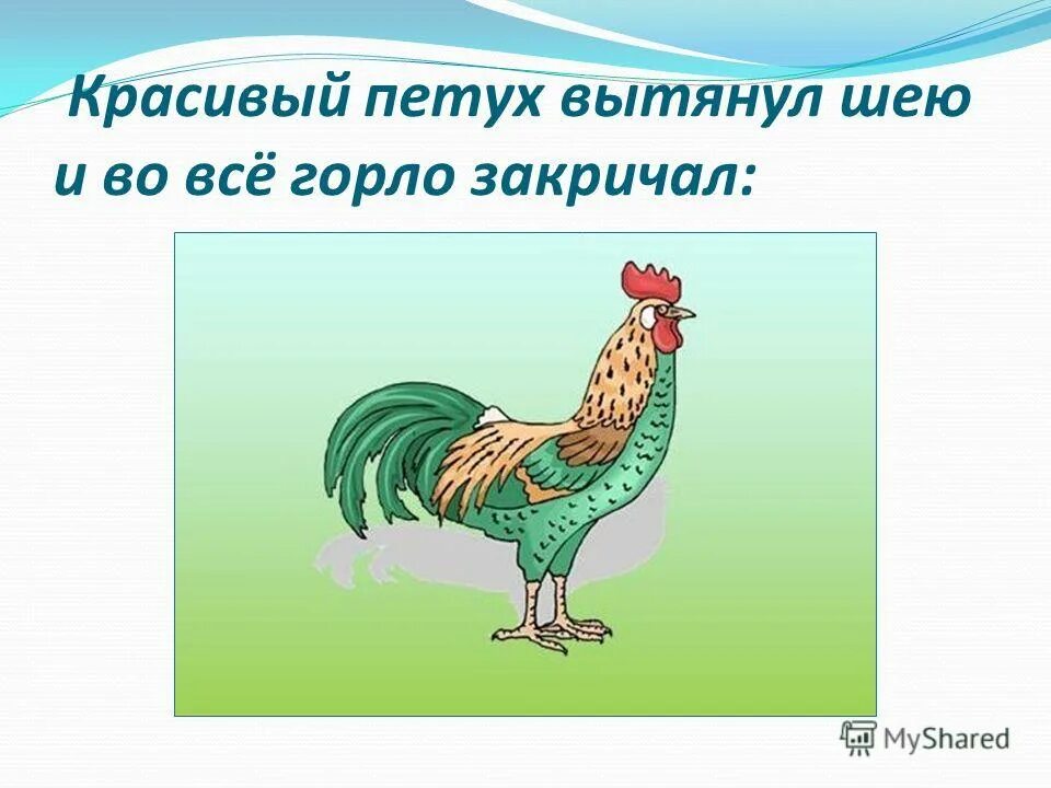 иллюстрации к рассказу чуковского цыпленок. петушок вскочил и во все горло закричал. чуковский цыпленок картинки. цитаты про район. чуковский цыпленок иллюстрации.