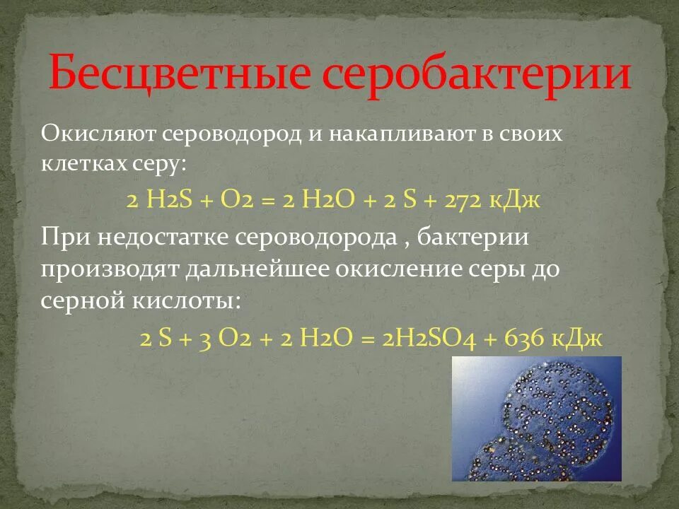 Сероводород h2s o2