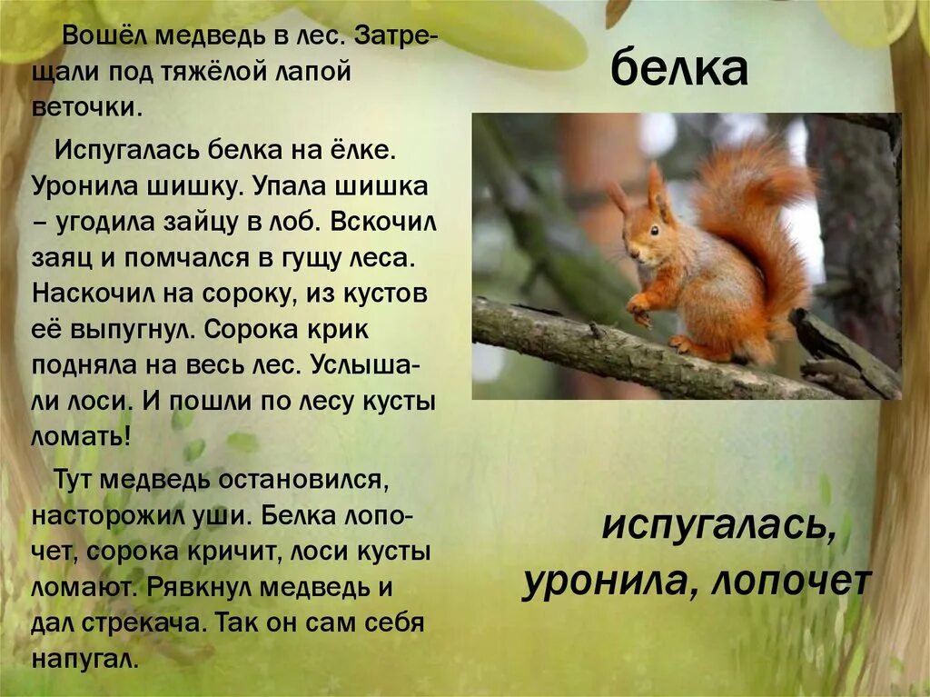 Вдруг упала шишка. Изложение белка. Текст про белочку. Изложение Белочка. Белка в лесу текст.