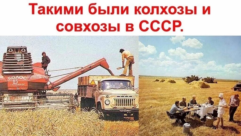 Совхоз это в истории. Колхозы и совхозы. колхоз ссср. сельское хозяйство ссср. советские колхозы и совхозы.