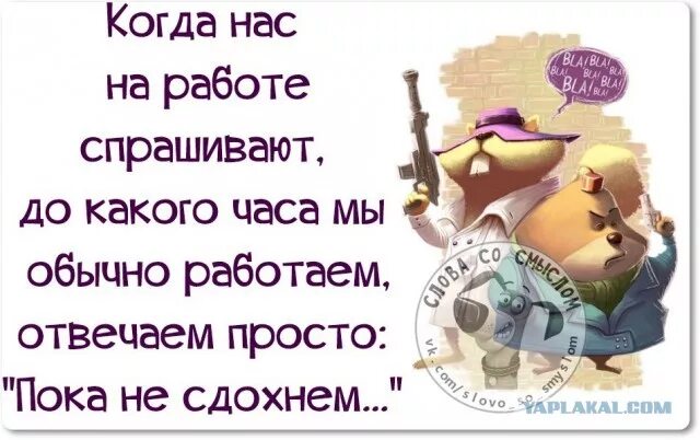 Приколы про вредность. Статусы про работу. Много работать вредно. Статус на работе веселый. Как спросить вакансии