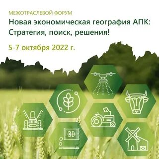 Стратегии развития агропромышленного и рыбохозяйственного комплексов