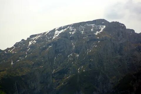 Гори 2008