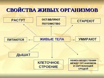 Общие свойства живых организмов это