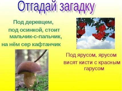 Отгадай загадку красная