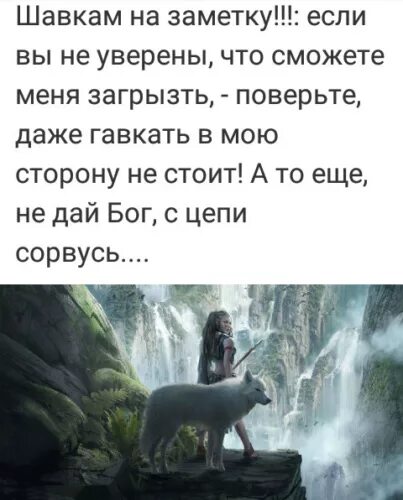 Шавка или бон что значит. Шавка тявкающая в мою сторону. Шавка лает. Если вы не уверены что сможете меня загрызть то. Статус про шавку.