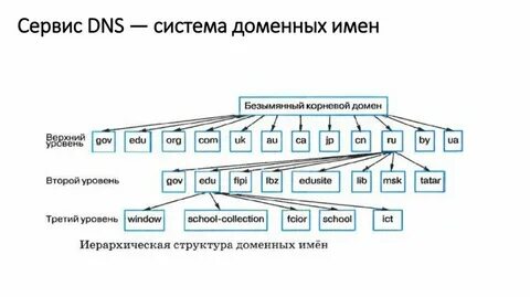 Доменная система dns имеет