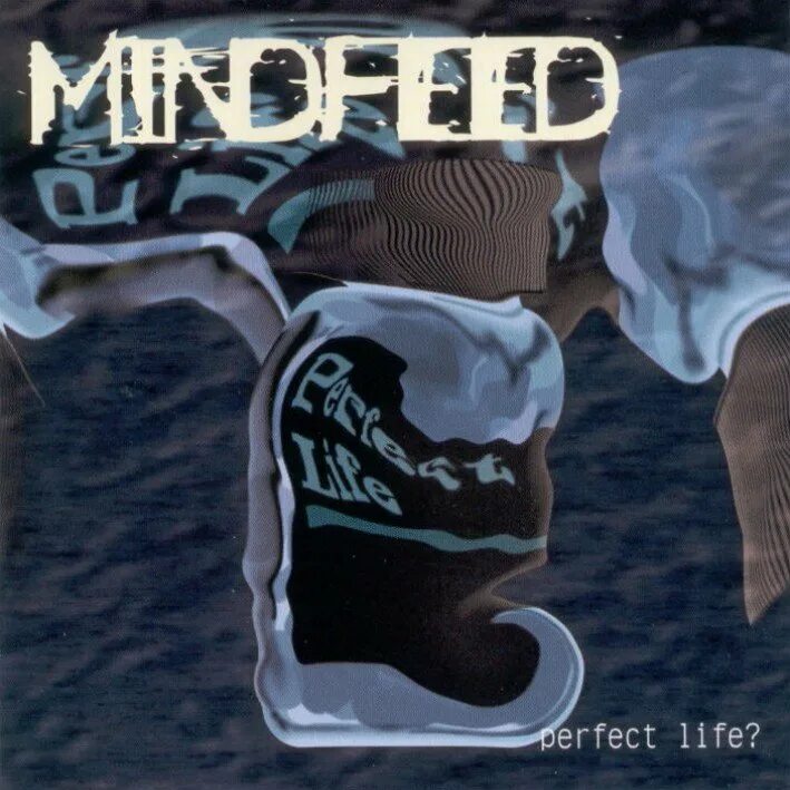 Perfect life 3. Перфект лайф группа. Perfect Life рок. Progressive Metal album Covers. Лидер 1997 - Life обложка.