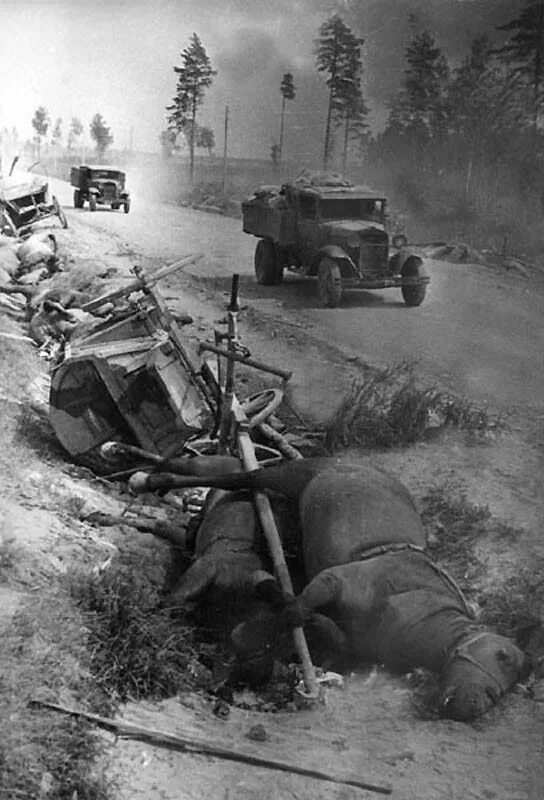Смоленское сражение 1941. 41 45 год беды и год. 41 45 год беды и год. 41 45 год беды и год. 41 45 год беды и год.