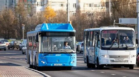 20 автобус белгород