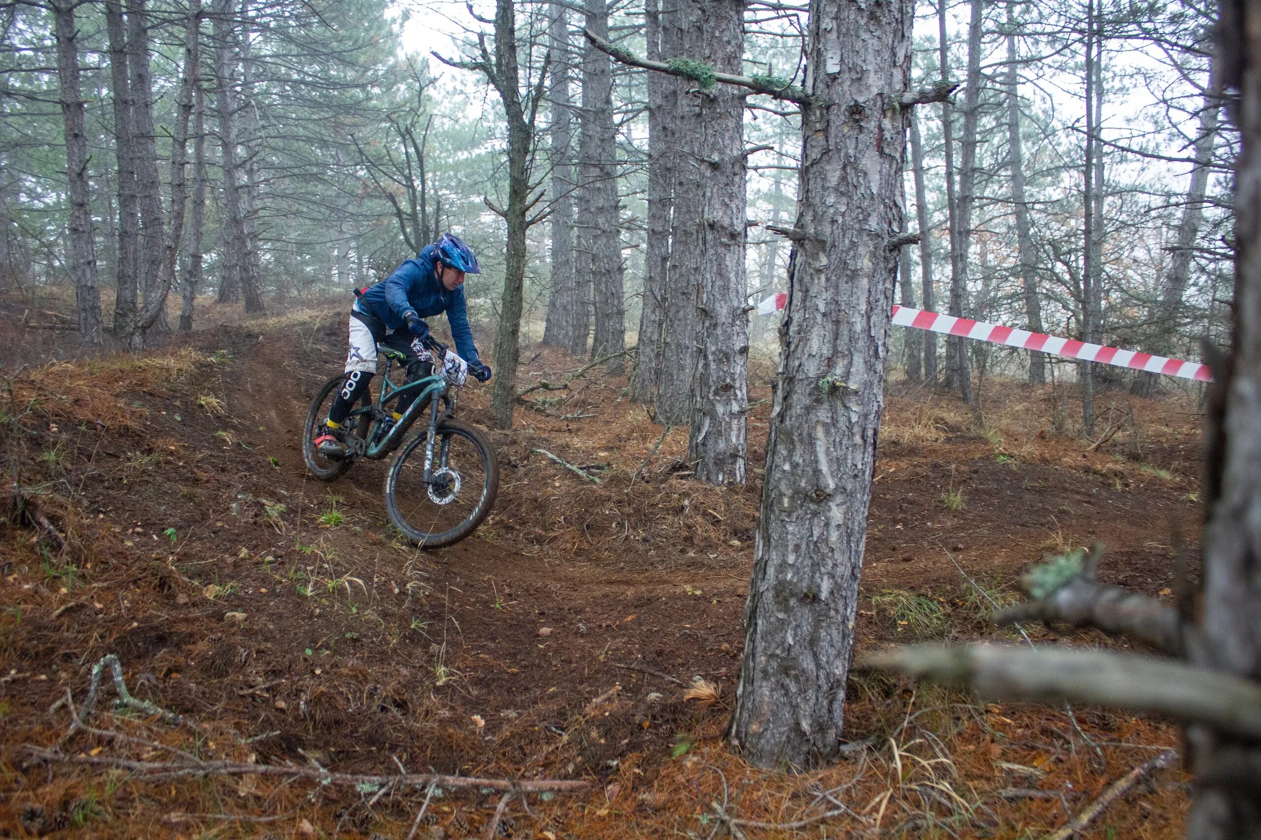 Тайга трейл белокуриха. Пересеченная местность. Бег по пересеченной местности. Трайл раннинг. Трейлраннинг asics.