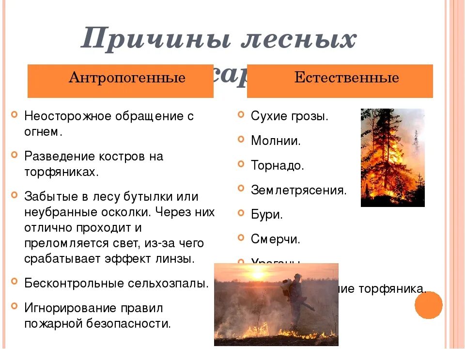 Природный пожар определение. Причины возникновения лесных пожаров. Естественные причины возникновения лесных пожаров. Основные причины возникновения лесных пожаров. Причины возникновения пожаров в лесу.