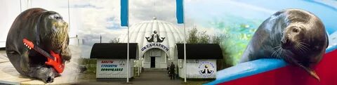 Океанариум мурманск