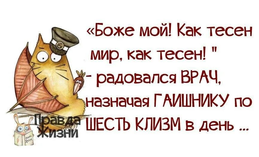 Правды жизни на дне. Смешные цитаты с картинками правда жизни. Правда жизни цитаты. Радоваться жизни цитаты прикольные. Радуйтесь жизни приколы.