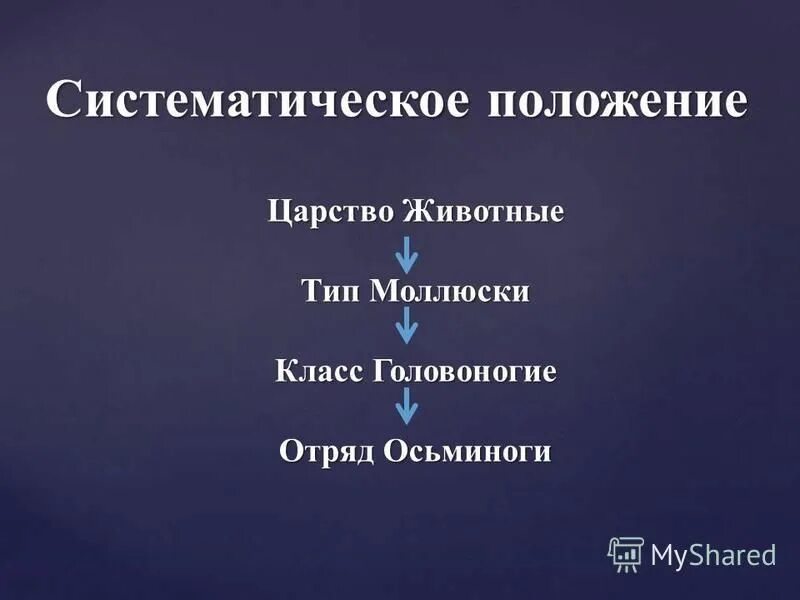 лягушка род вид. классификация камышовая жаба. серая жаба классификация. систематические категории лягушки. систематическое положение амфибий.
