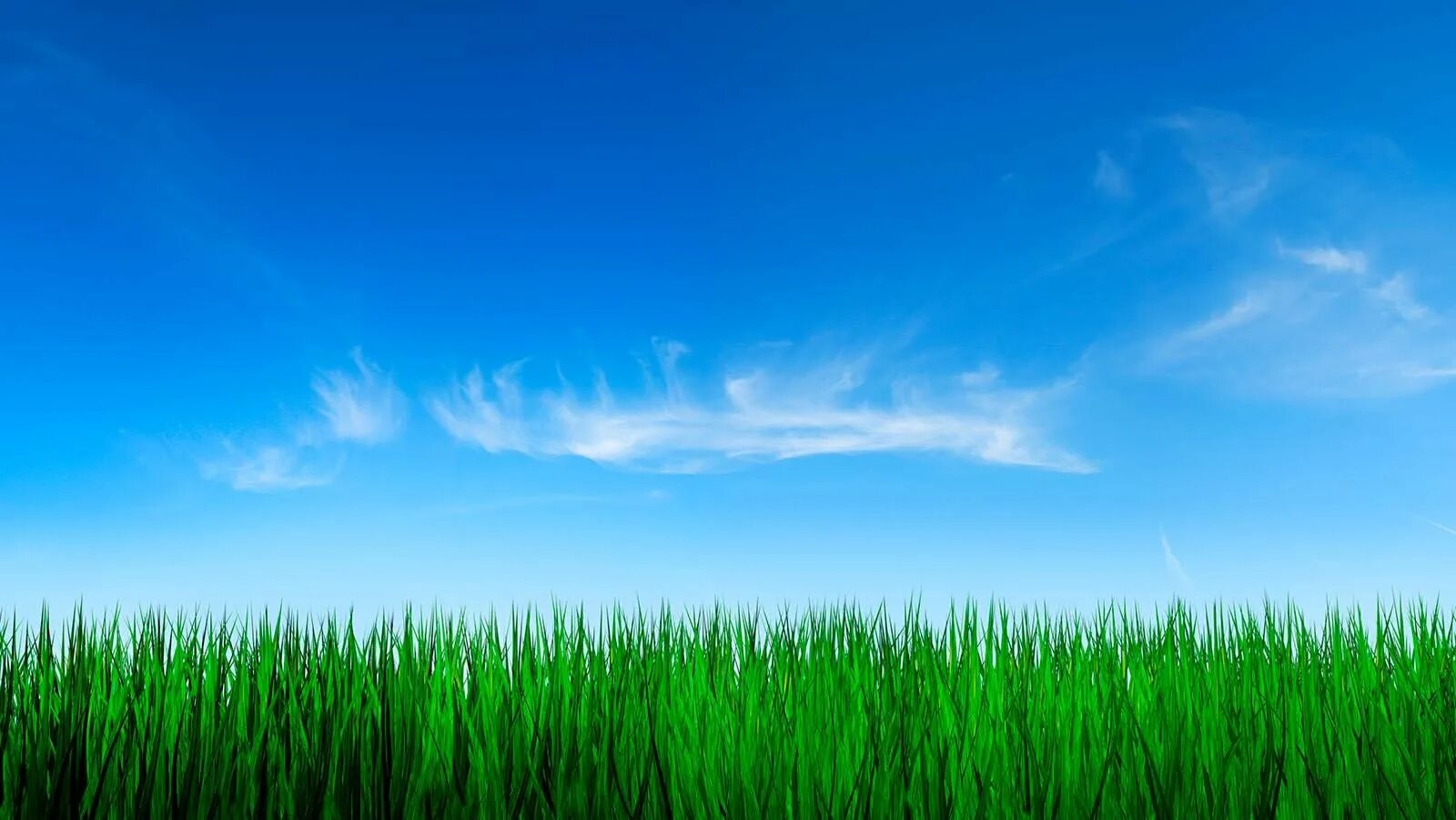 Картинки для сайта. Трава и небо. Фон трава и небо. Фон для сайта. Фоновое изображение.